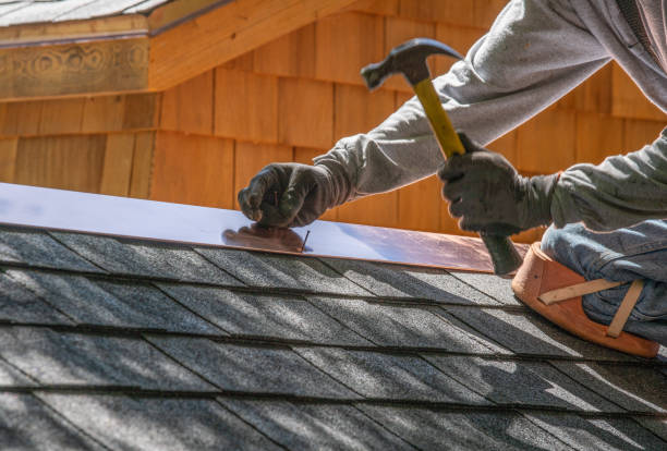 Best Solar Panel Roofing Installation  in Oyster Creek, TX
