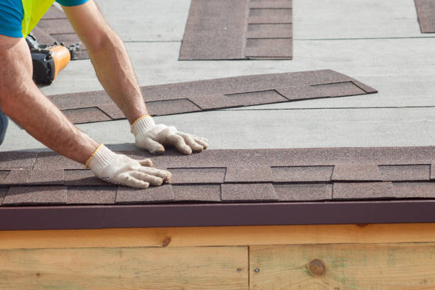 Best Roof Maintenance and Cleaning  in Oyster Creek, TX